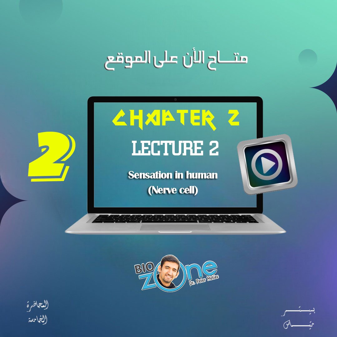 2025 - 2 - الاسبوع الخامس - الشرح